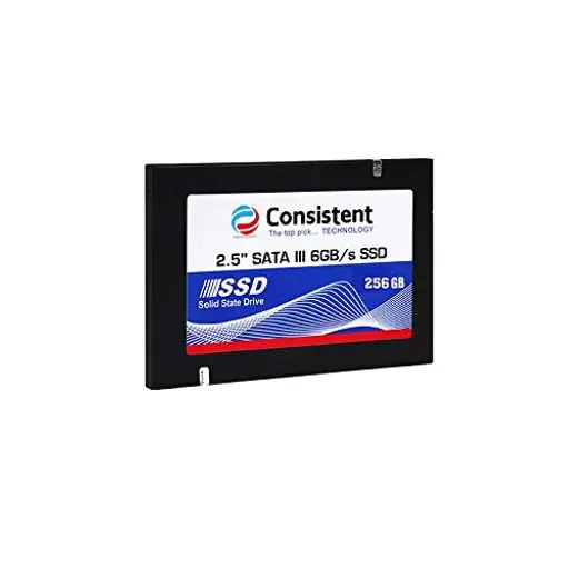 Consistent SSD 256GB SATA